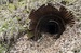 2016_04_11 - 013.jpg