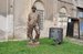 DSC_0624.jpg