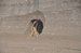 DSC_0915.jpg
