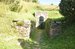 DSC_0975.jpg