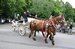 DSC_1004.jpg