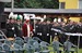 DSC_1269.JPG