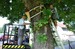 DSC_1662.JPG