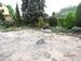 DSC04689.jpg