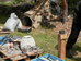 P5280663.JPG